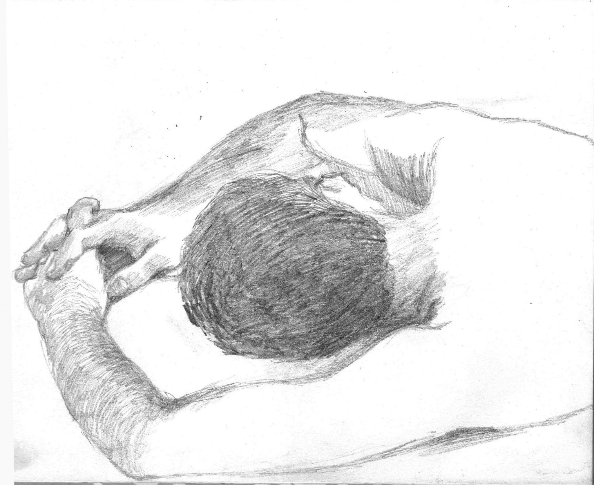 dormido-alejandra-caballero-lápiz-grafito-dibujo-hombre de-espaldas-tumbado